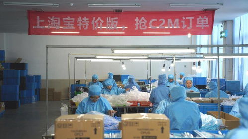 淘寶特價(jià)版上線外貿(mào)頻道，2000家大牌外貿(mào)工廠入駐，電器輔件銷售迎來新機(jī)遇